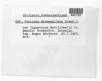 Image Associated With the Occurence